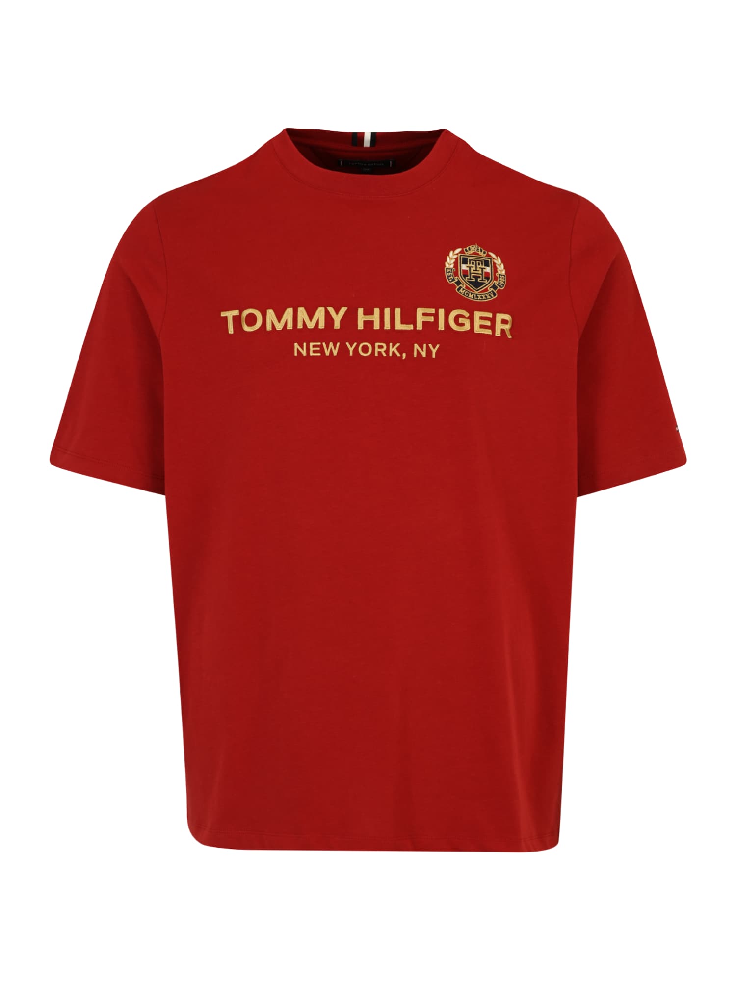 Tommy Hilfiger Big & Tall Majica  temno modra / zlata / rdeča / bela