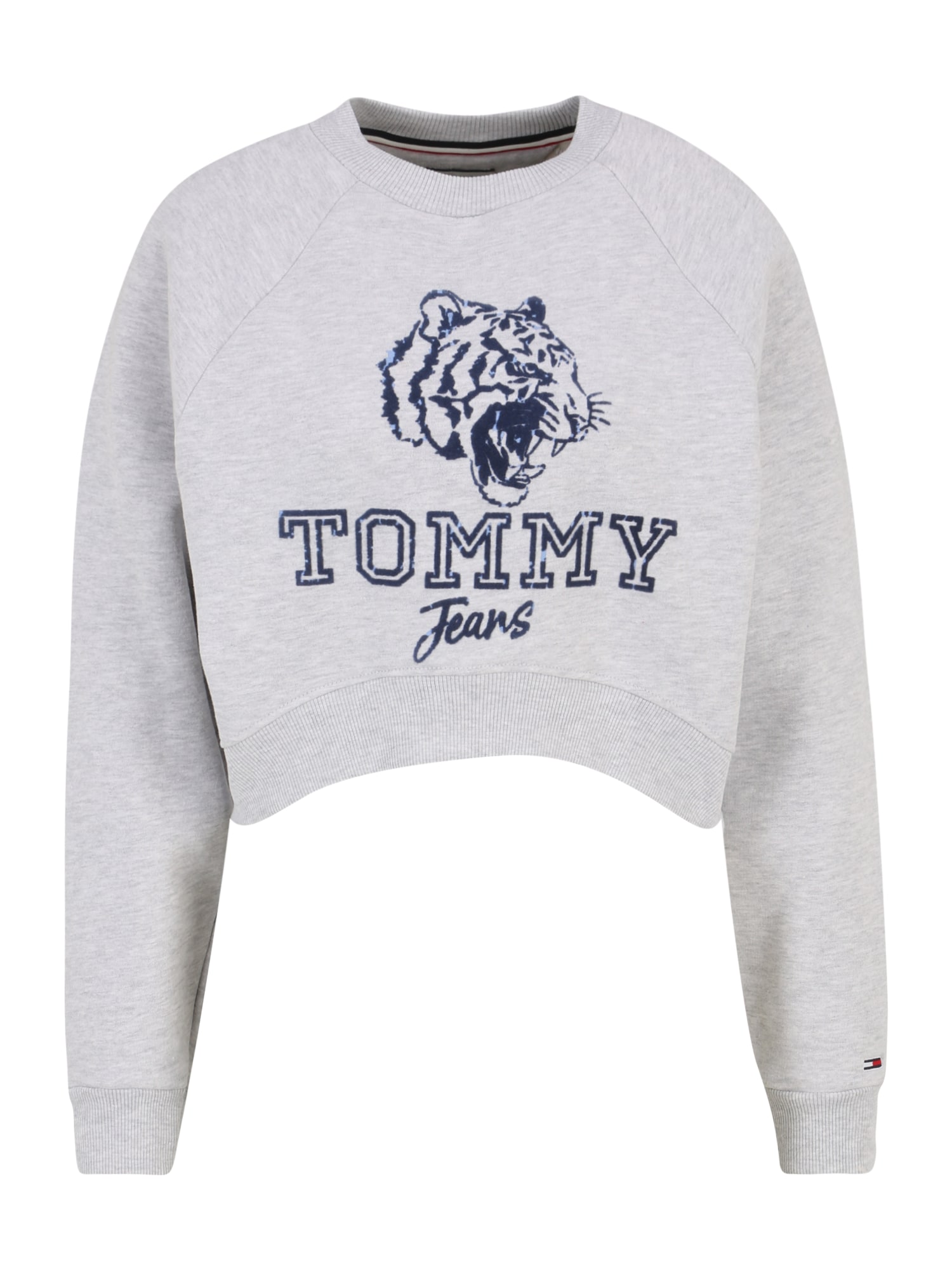 Tommy Remixed Majica  temno modra / pegasto siva