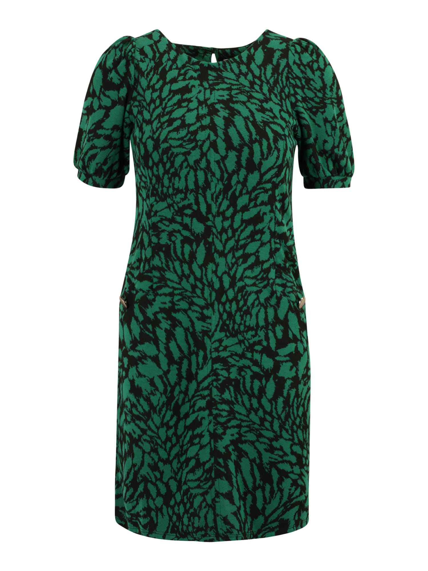 Wallis Petite Obleka  zelena / črna