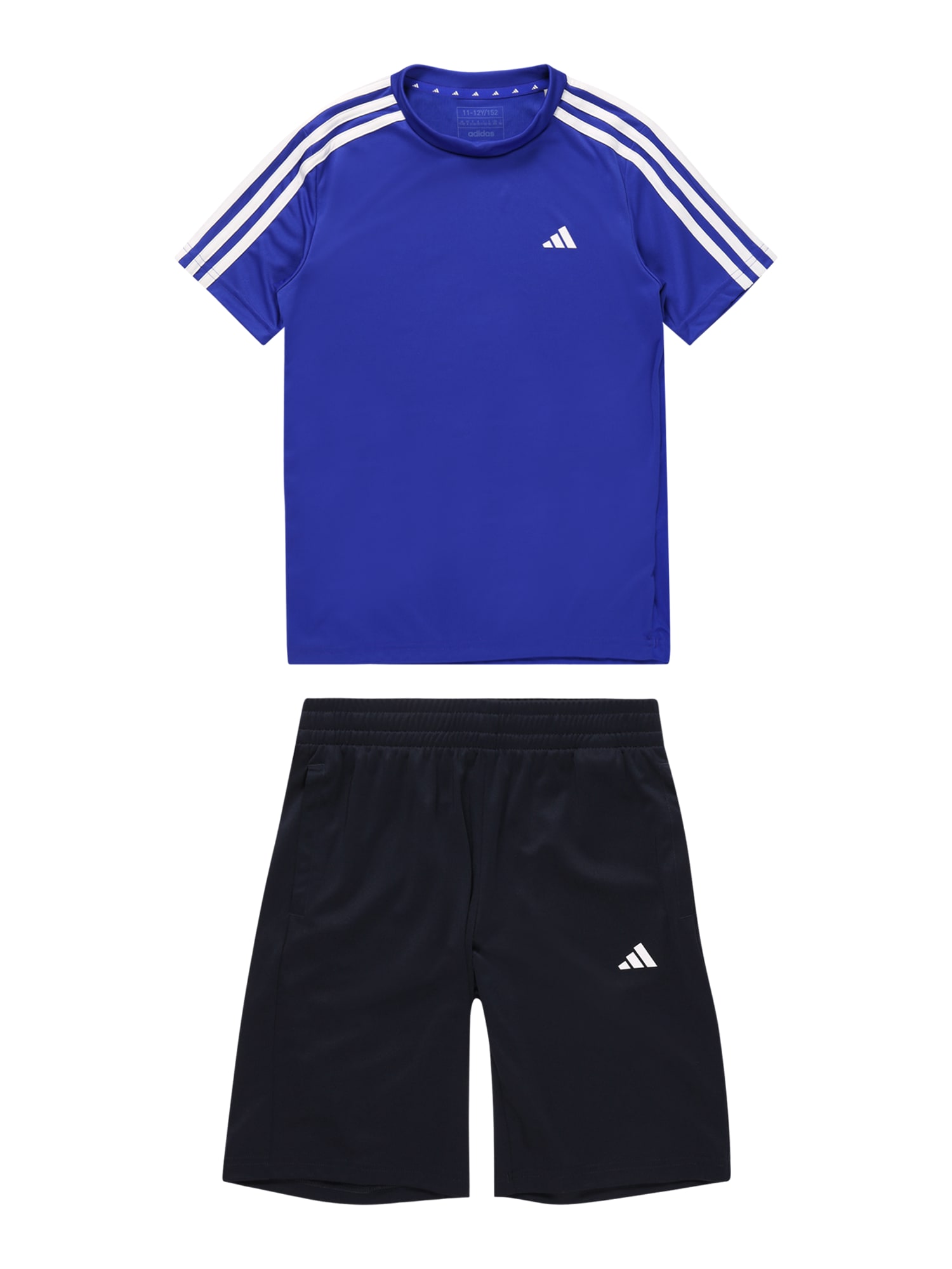 ADIDAS PERFORMANCE Športna trenirka  kraljevo modra / črna / bela