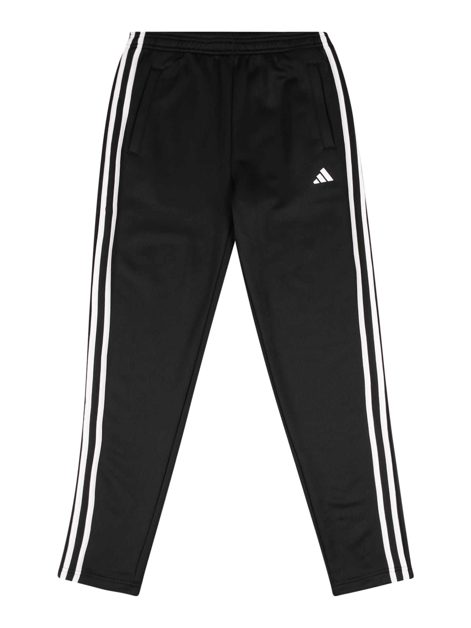 ADIDAS PERFORMANCE Športne hlače  črna / bela