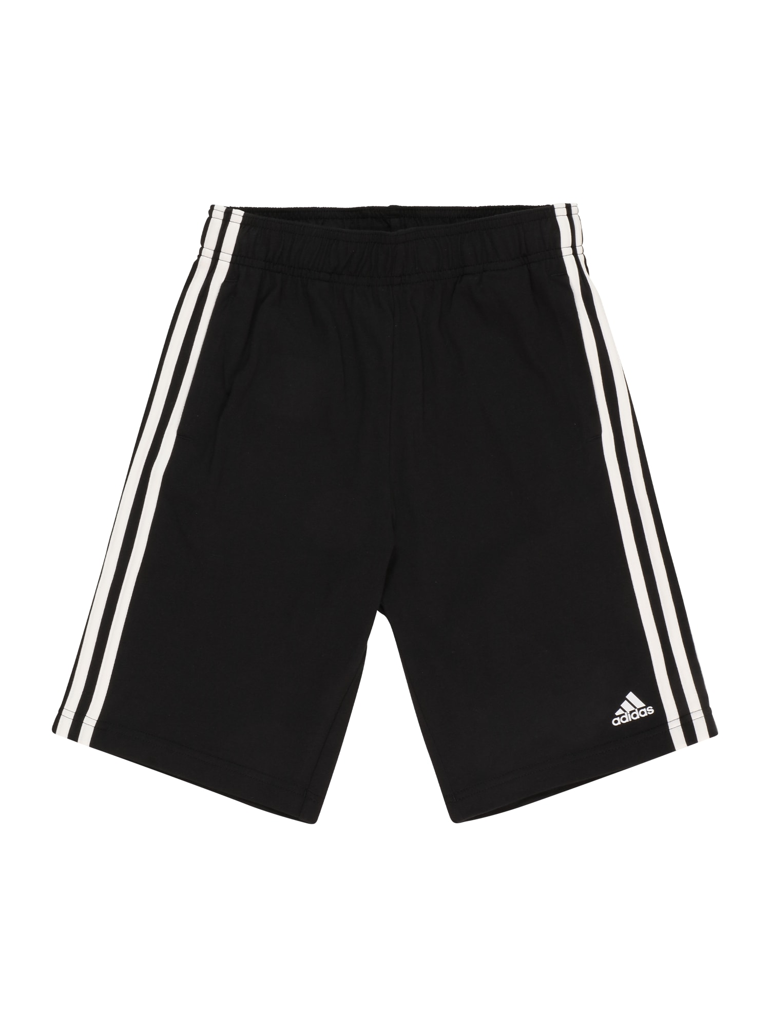 ADIDAS PERFORMANCE Športne hlače  črna / bela