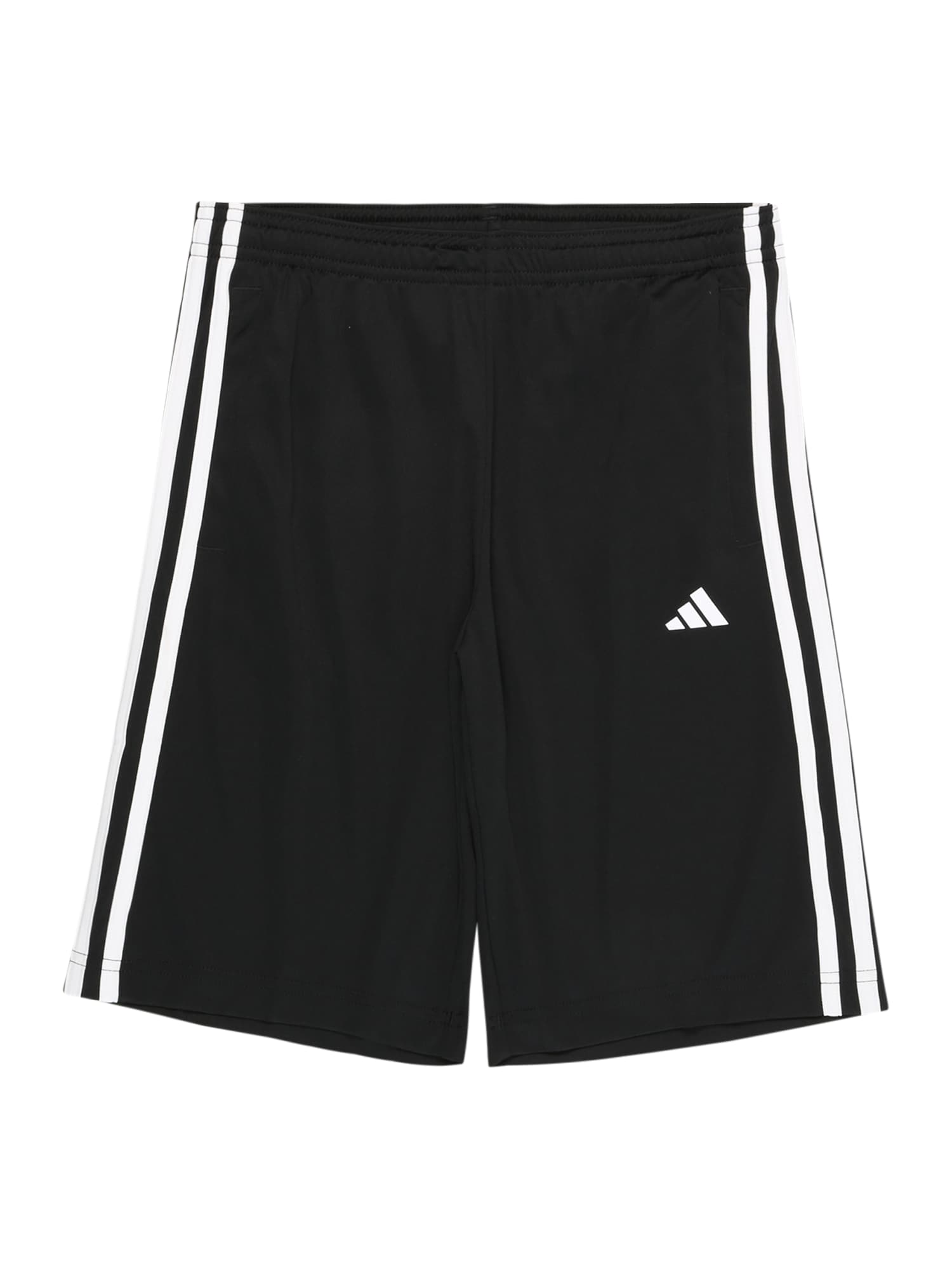 ADIDAS PERFORMANCE Športne hlače  črna / bela