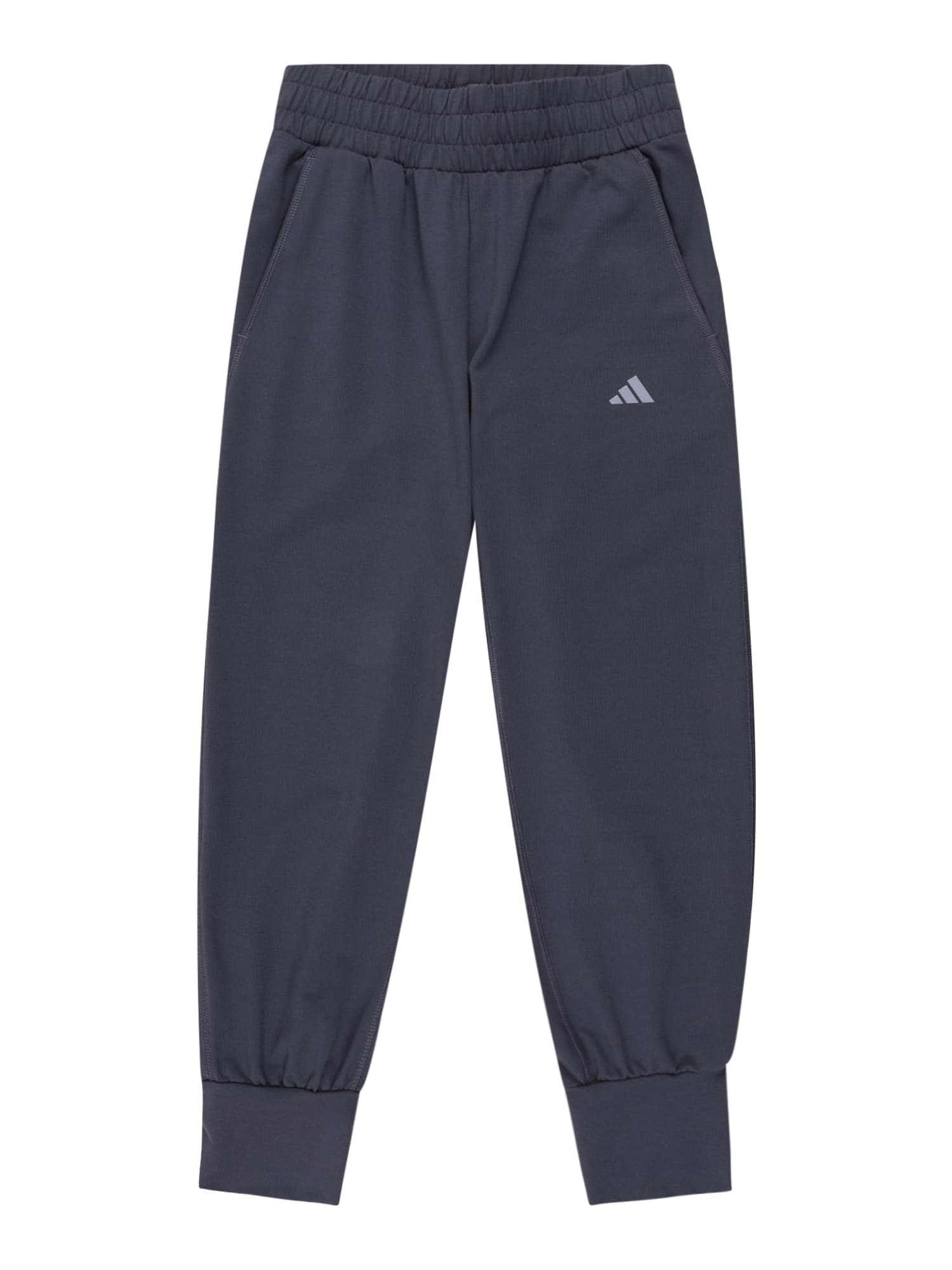 ADIDAS PERFORMANCE Športne hlače  temno modra / siva