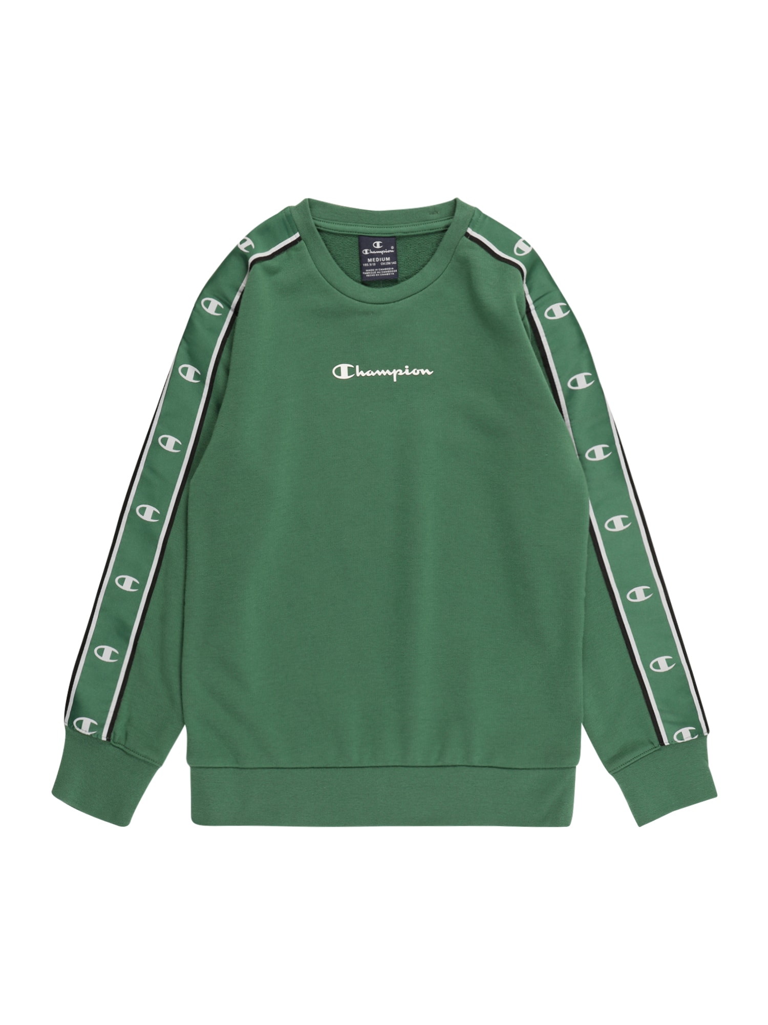 Champion Authentic Athletic Apparel Majica  zelena / črna / bela