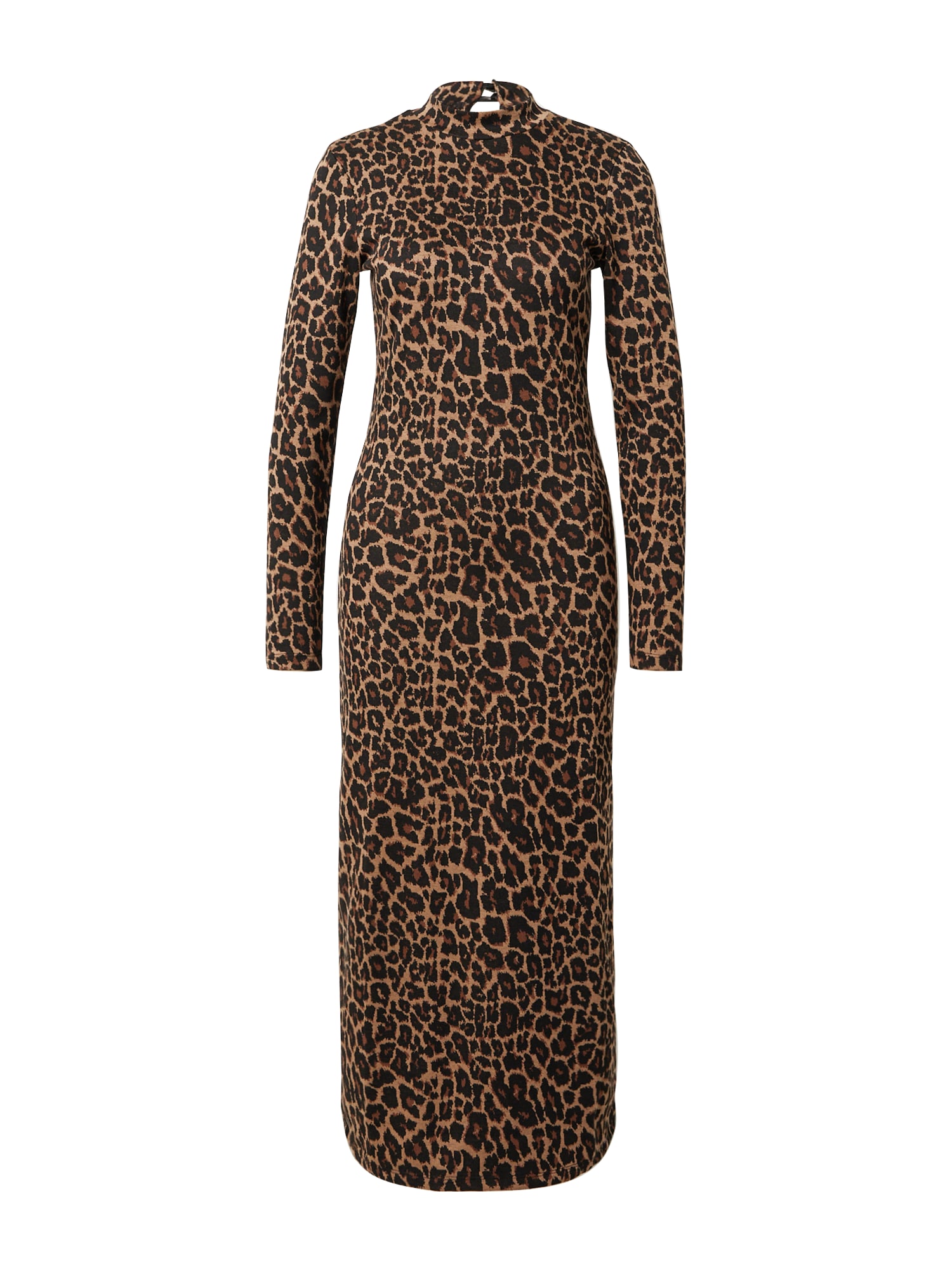 Dorothy Perkins Obleka  svetlo rjava / temno rjava / črna