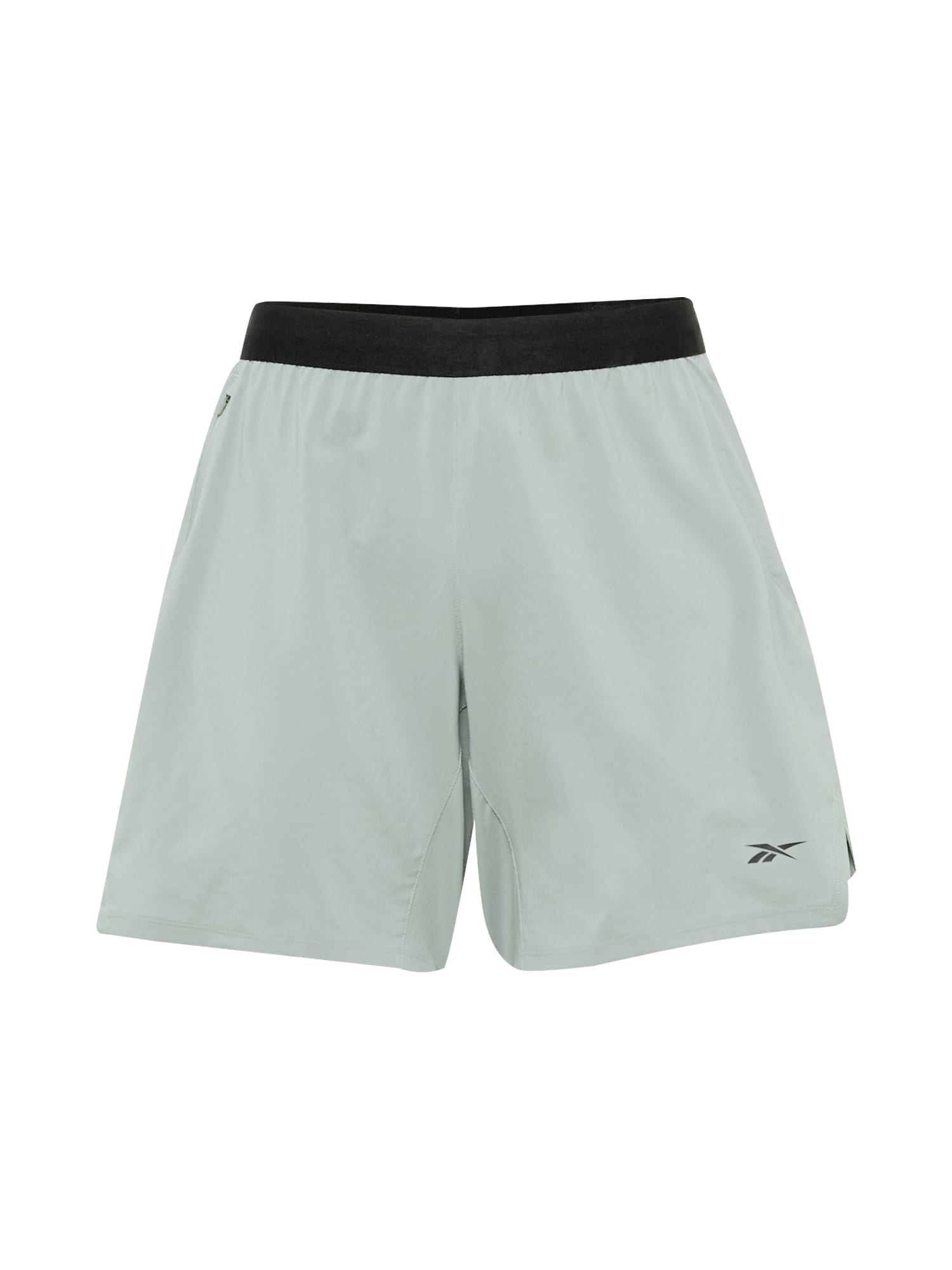 Reebok Sport Športne hlače 'SPEED 3.0'  pastelno zelena / črna