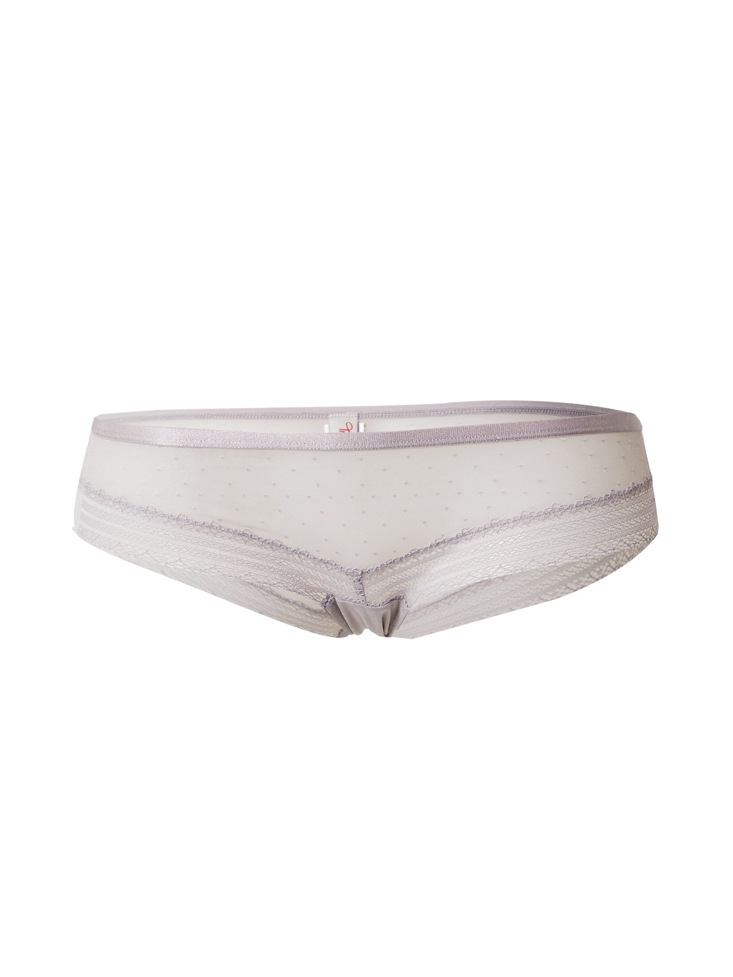 TRIUMPH Spodnje hlačke 'Tempting Tulle_01 Hipster'  siva